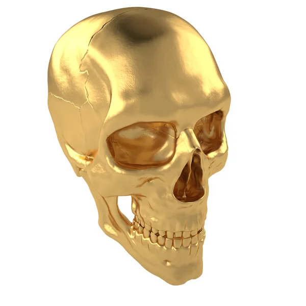 Anatomická lidské scull24 — Stock fotografie