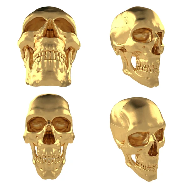 Anatomische menselijke scull24 — Stockfoto