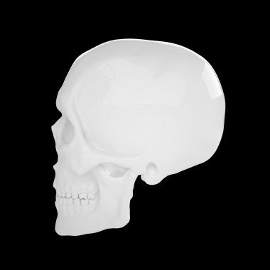 Anatomik insan s Scull85