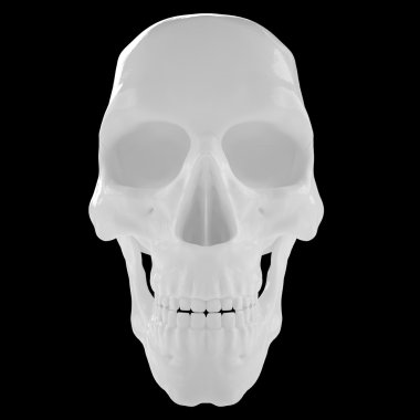 Anatomik insan s Scull85