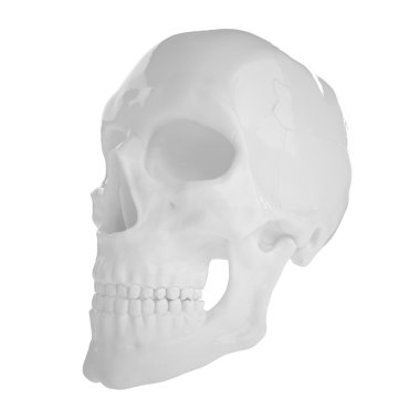 Anatomik insan s Scull85