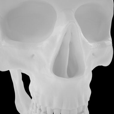 Anatomik insan s Scull85