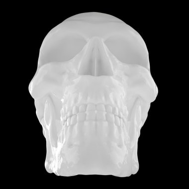Anatomik insan s Scull85