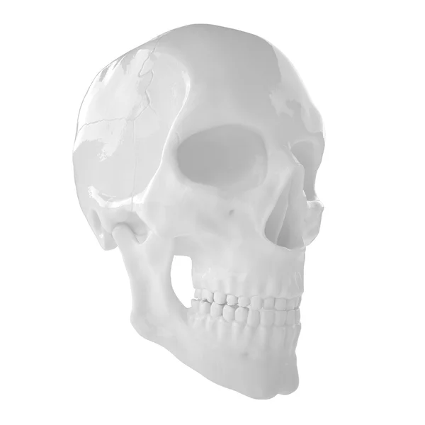 Humano anatómico s Scull85 — Foto de Stock