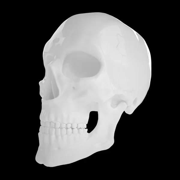 Humano anatómico s Scull85 — Foto de Stock