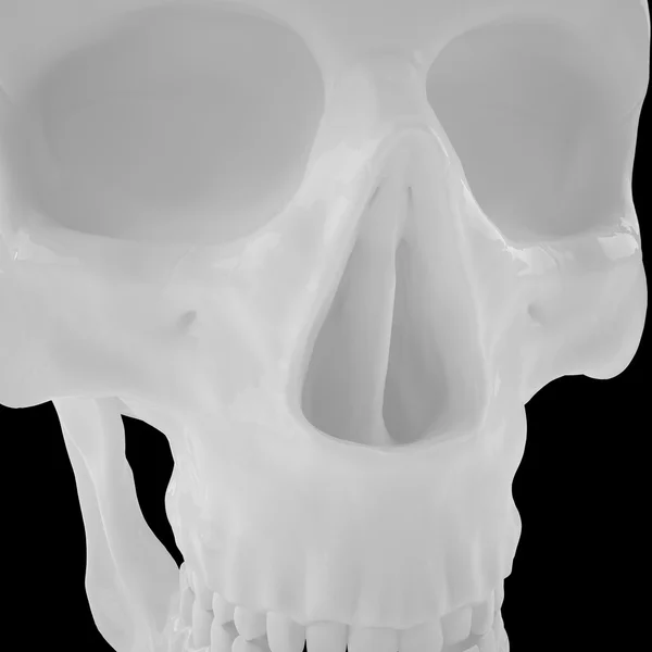 Anatomiczne człowieka s Scull85 — Zdjęcie stockowe