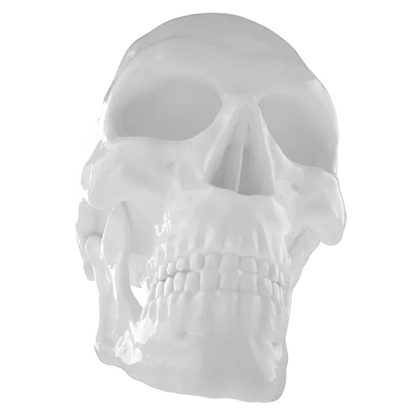 Anatomische menselijke s Scull85 — Stockfoto