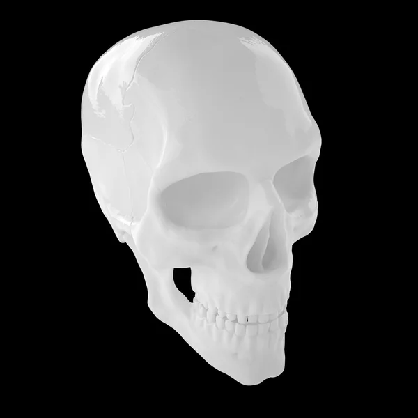 Anatómica humana s Scull85 — Fotografia de Stock