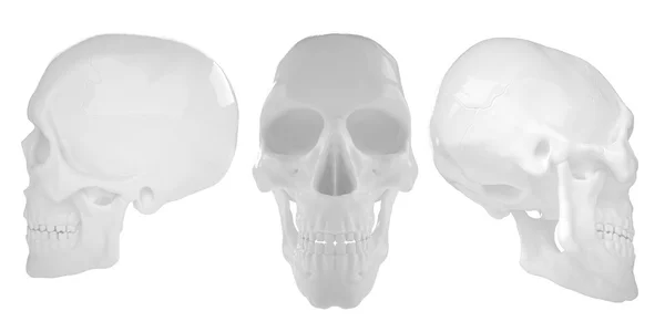 Anatómica humana s Scull85 — Fotografia de Stock