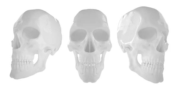 Anatómica humana s Scull85 — Fotografia de Stock