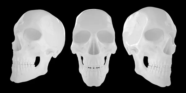 Anatómica humana s Scull85 — Fotografia de Stock