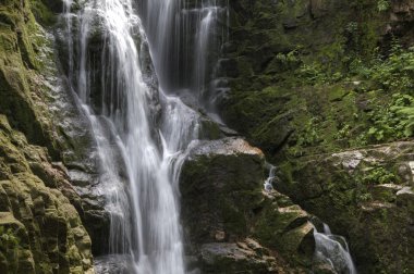 Kamienczyk şelale dağlar, Karkonosze, Giant Mountains içinde