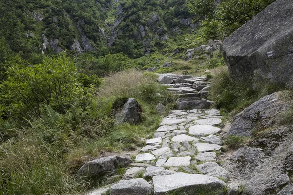 Reuzengebergte (reus) in Polen, Europa — Stockfoto