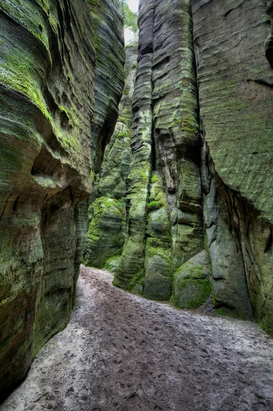 Adrszpach Milli Parkı-Teplice rocks. Rock kasabası. Çek Cumhuriyeti — Stok fotoğraf