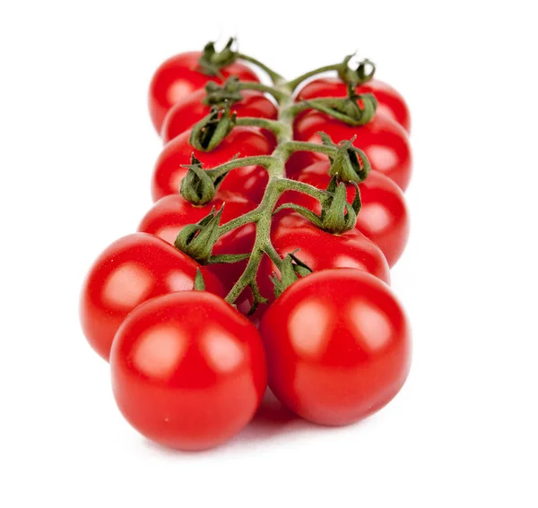 新鲜的樱桃西红柿 带有一小枝 白色背景 从投资组合的另一个角度来看 — 图库照片