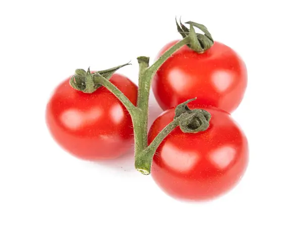 新鲜的樱桃西红柿 带有一小枝 白色背景 从投资组合的另一个角度来看 — 图库照片