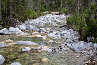 Tatra Ulusal Parkı 'ndaki dağ manzarası