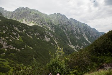 Tatra Ulusal Parkı 'ndaki dağ manzarası