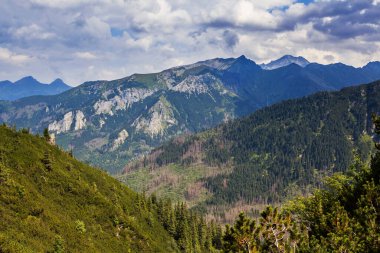 Tatra Ulusal Parkı 'ndaki dağ manzarası