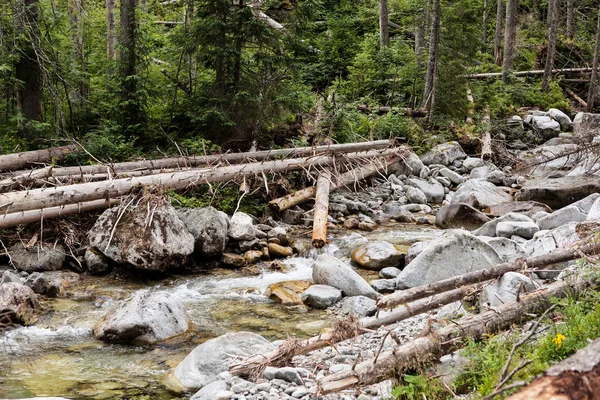 Horská Krajina Národním Parku Tatra — Stock fotografie