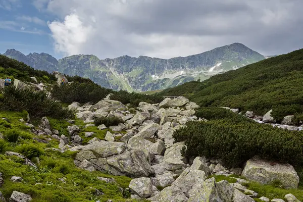 Berglandschap Het Tatra National Park — Stockfoto