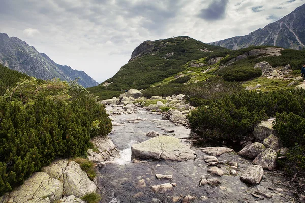 Krajobraz Górski Tatrzańskiego Parku Narodowego — Zdjęcie stockowe
