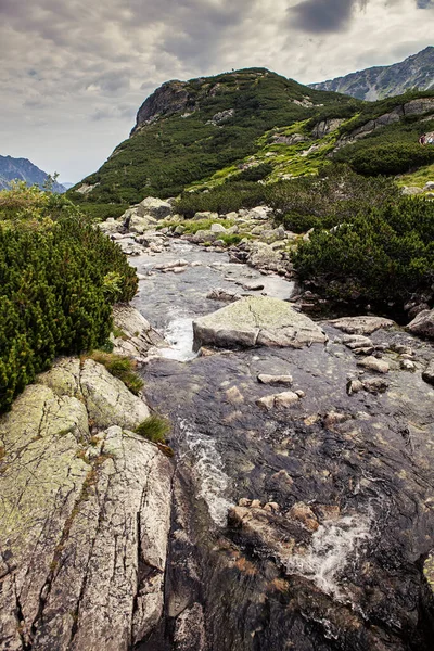 Berglandschap Het Tatra National Park — Stockfoto