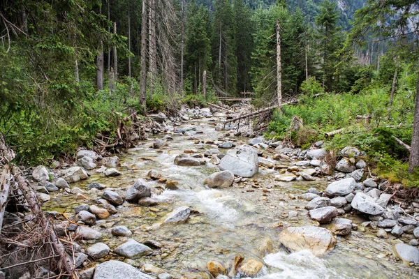 Mountain Landscape Tatra National Park — Stock Photo, Image