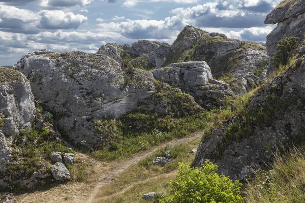 Rochers Dans Jura Cracovie Czestochowa Pologne — Photo