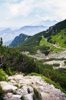 Polonya ile Slovakya sınırındaki Tatra Dağları 'ndaki dağ manzarası