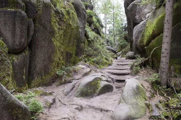 National Park of Adrspach-Teplice rocks. Rock Town. Czech Republic — Stock Photo, Image