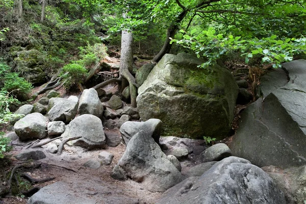 Adrszpach Milli Parkı-Teplice rocks. Rock kasabası. Çek Cumhuriyeti — Stok fotoğraf