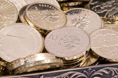 Lehçe Zlote Pln paralar