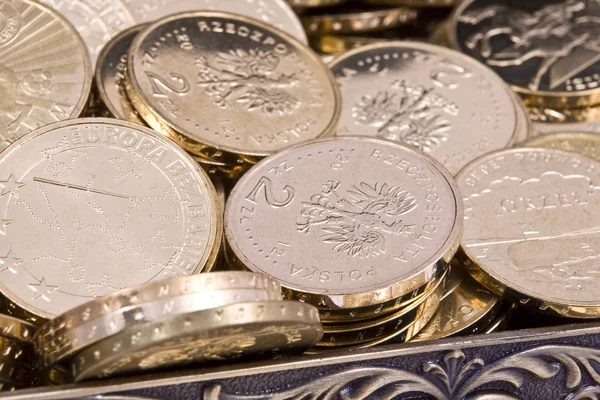 Lehçe Zlote Pln paralar