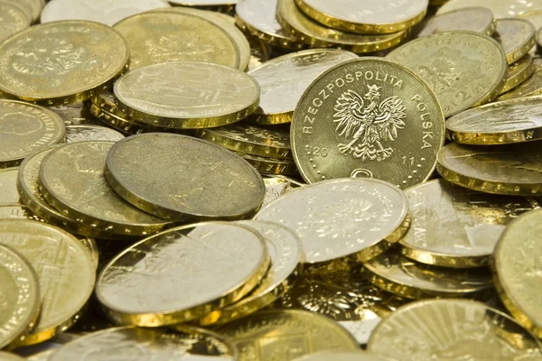 Zlote polaco monedas PLN — Foto de Stock