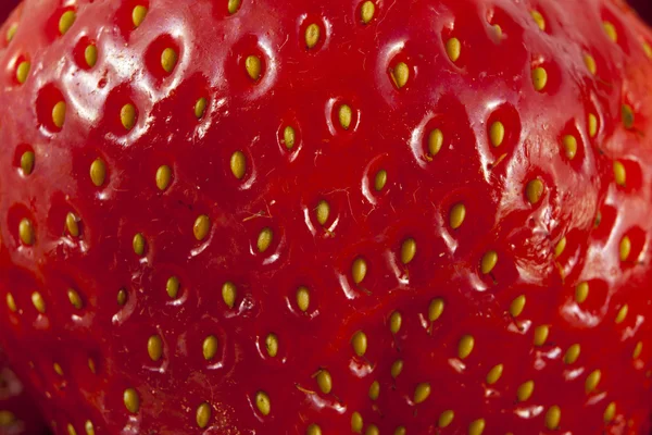 Owoce świeże truskawki — Zdjęcie stockowe