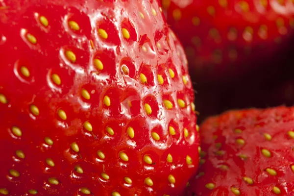 Fresh strawberries fruits — Stock Photo, Image