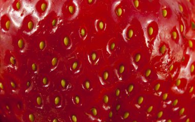 Çek korunas Czk, banknot