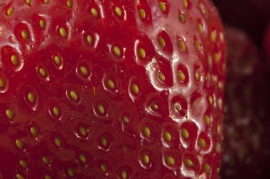 Çek korunas Czk, banknot