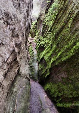 Adrszpach Milli Parkı-Teplice rocks. Rock kasabası. Çek Cumhuriyeti