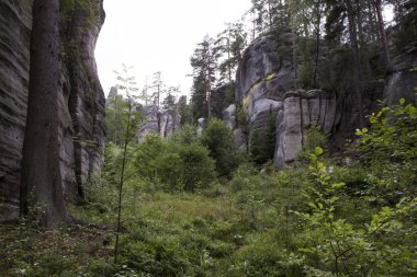 Adrszpach Milli Parkı-Teplice rocks. Rock kasabası. Çek Cumhuriyeti
