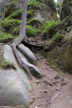 Adrszpach Milli Parkı-Teplice rocks. Rock kasabası. Çek Cumhuriyeti