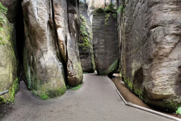 Nationaal Park van Adrspach-Teplice rotsen. Rotsstad. Tsjechische Republiek — Stockfoto