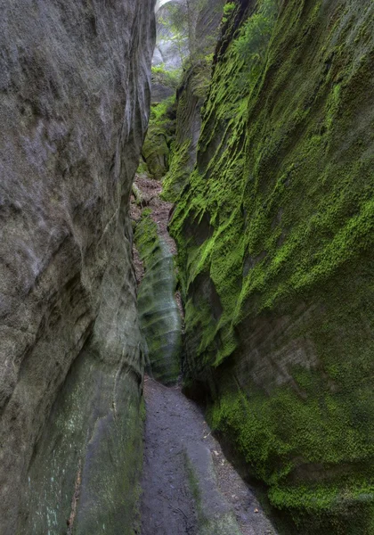 Adrszpach Milli Parkı-Teplice rocks. Rock kasabası. Çek Cumhuriyeti