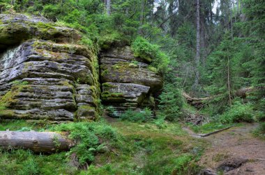 Adrszpach Milli Parkı-Teplice rocks. Rock kasabası. Çek Cumhuriyeti