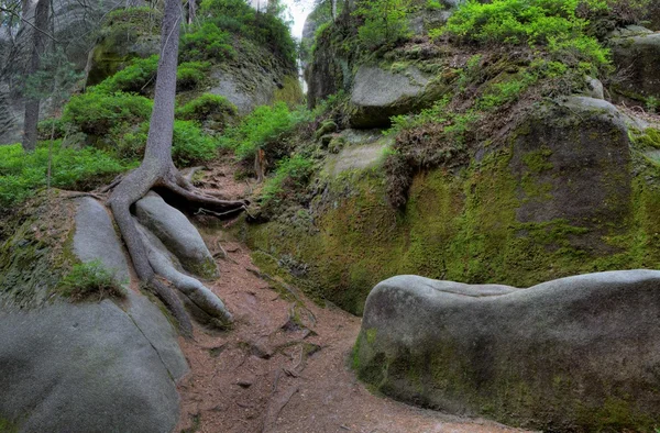 Parque Nacional de Adrspach-Teplice rocas. Rock Town. República Checa — Foto de Stock