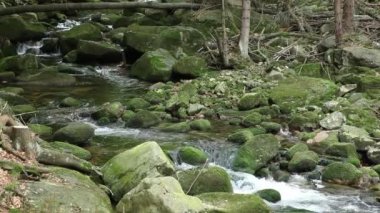 dağ dere, Karkonosze Polonya