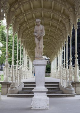Karlovy Vary, Çek Cumhuriyeti eski köşk