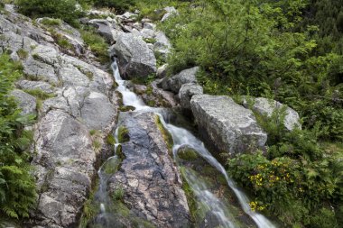 Polonya karkonosze (dev) Dağları