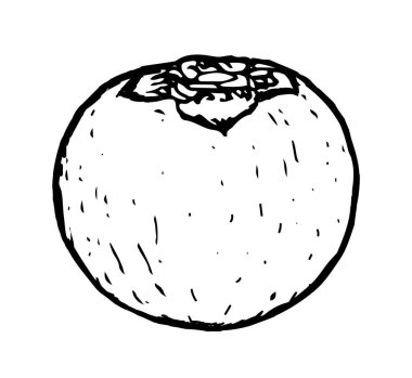 Beyaz arkaplanda hurma çizimi